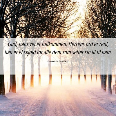 Picture 06 - Salmene 18:30 NORSK - Gud, hans vei er fullkommen; Herrens ord er rent, - Bible Verse Picture
