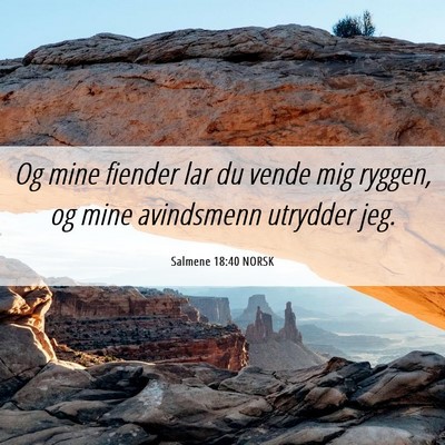 Picture 06 - Salmene 18:40 NORSK - Og mine fiender lar du vende mig ryggen, og mine - Bible Verse Picture