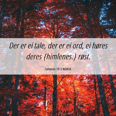 Picture 06 - Salmene 19:3 NORSK - Der er ei tale, der er ei ord, ei høres deres - Bible Verse Picture