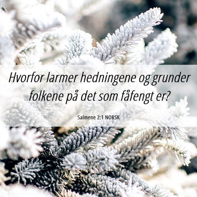 Picture 06 - Salmene 2:1 NORSK - Hvorfor larmer hedningene og grunder folkene på - Bible Verse Picture