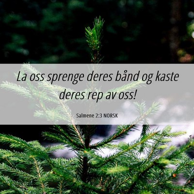 Picture 06 - Salmene 2:3 NORSK - La oss sprenge deres bånd og kaste deres rep av - Bible Verse Picture