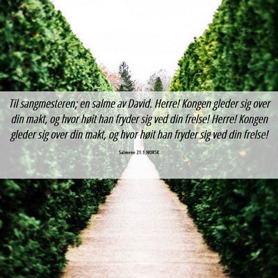 Picture 06 - Salmene 21:1 NORSK - Til sangmesteren; en salme av David. Herre! - Bible Verse Picture