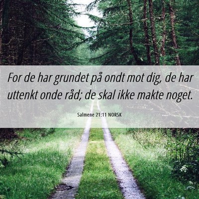 Picture 06 - Salmene 21:11 NORSK - For de har grundet på ondt mot dig, de har - Bible Verse Picture