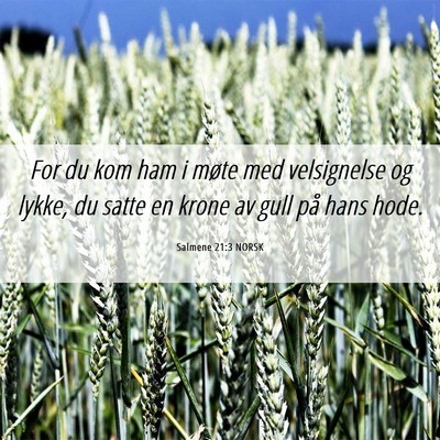 Picture 06 - Salmene 21:3 NORSK - For du kom ham i møte med velsignelse og lykke, - Bible Verse Picture