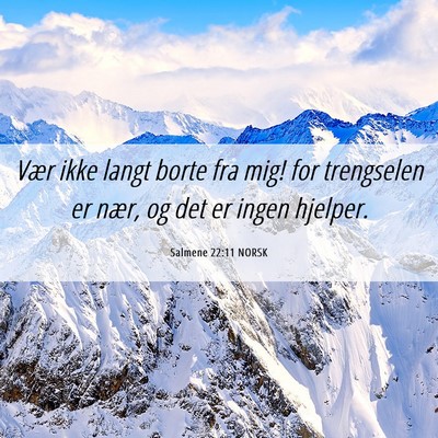 Picture 06 - Salmene 22:11 NORSK - Vær ikke langt borte fra mig! for trengselen er - Bible Verse Picture