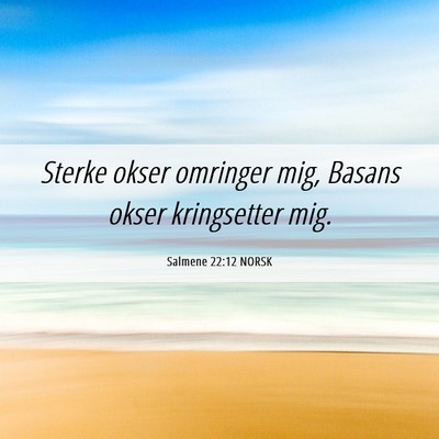 Picture 06 - Salmene 22:12 NORSK - Sterke okser omringer mig, Basans okser - Bible Verse Picture