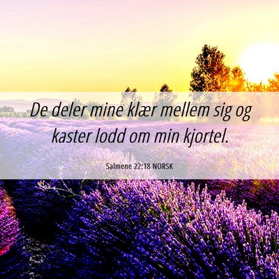 Picture 06 - Salmene 22:18 NORSK - De deler mine klær mellem sig og kaster lodd om - Bible Verse Picture