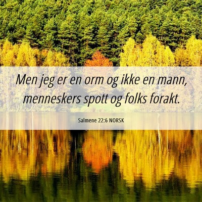 Picture 06 - Salmene 22:6 NORSK - Men jeg er en orm og ikke en mann, menneskers - Bible Verse Picture