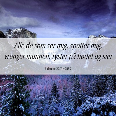 Picture 06 - Salmene 22:7 NORSK - Alle de som ser mig, spotter mig, vrenger munnen, - Bible Verse Picture