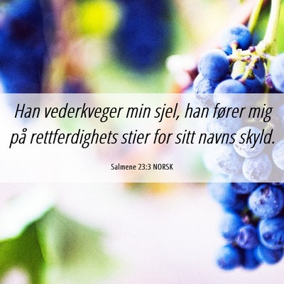 Picture 06 - Salmene 23:3 NORSK - Han vederkveger min sjel, han fører mig på - Bible Verse Picture