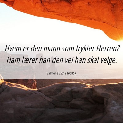 Picture 06 - Salmene 25:12 NORSK - Hvem er den mann som frykter Herren? Ham lærer - Bible Verse Picture