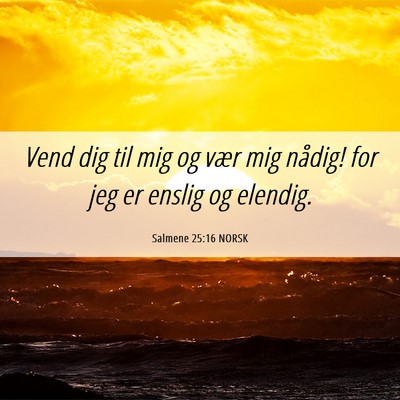 Picture 06 - Salmene 25:16 NORSK - Vend dig til mig og vær mig nådig! for jeg er - Bible Verse Picture