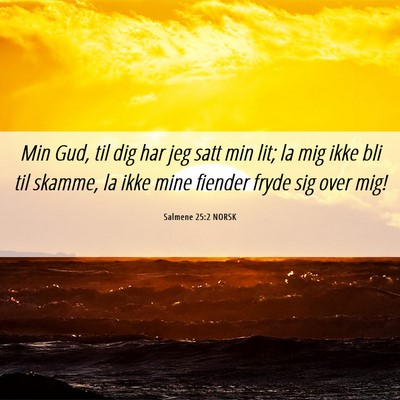 Picture 06 - Salmene 25:2 NORSK - Min Gud, til dig har jeg satt min lit; la mig - Bible Verse Picture