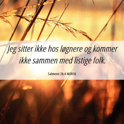 Picture 06 - Salmene 26:4 NORSK - Jeg sitter ikke hos løgnere og kommer ikke - Bible Verse Picture
