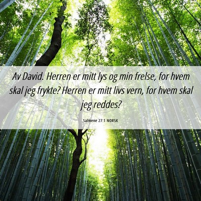 Picture 06 - Salmene 27:1 NORSK - Av David. Herren er mitt lys og min frelse, for - Bible Verse Picture