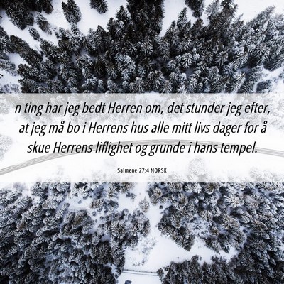 Picture 06 - Salmene 27:4 NORSK - n ting har jeg bedt Herren om, det stunder jeg - Bible Verse Picture