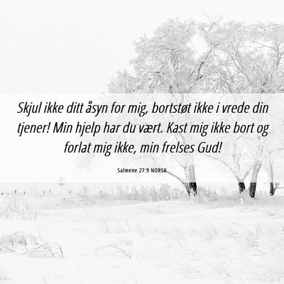 Picture 06 - Salmene 27:9 NORSK - Skjul ikke ditt åsyn for mig, bortstøt ikke i - Bible Verse Picture