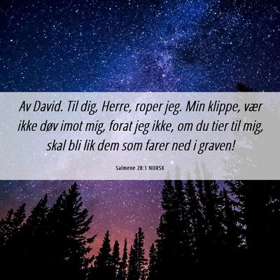 Picture 06 - Salmene 28:1 NORSK - Av David. Til dig, Herre, roper jeg. Min klippe, - Bible Verse Picture