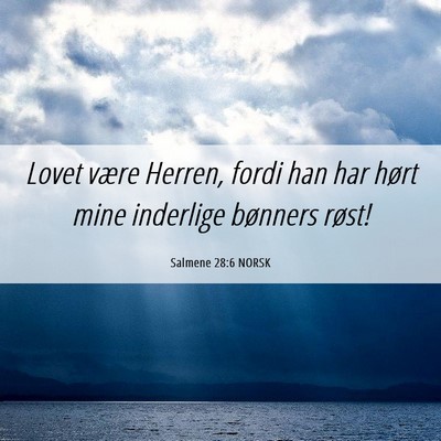 Picture 06 - Salmene 28:6 NORSK - Lovet være Herren, fordi han har hørt mine - Bible Verse Picture