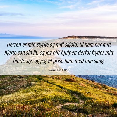 Picture 06 - Salmene 28:7 NORSK - Herren er min styrke og mitt skjold; til ham har - Bible Verse Picture