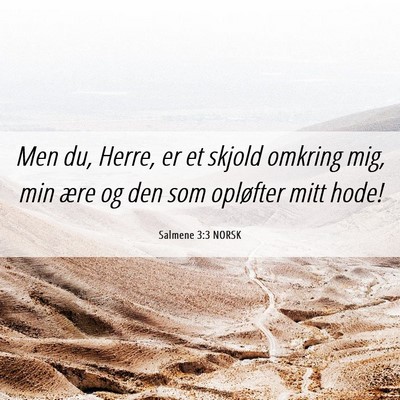 Picture 06 - Salmene 3:3 NORSK - Men du, Herre, er et skjold omkring mig, min ære - Bible Verse Picture