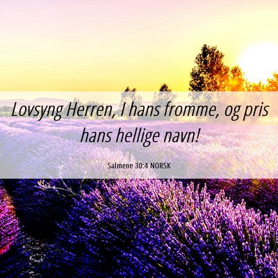 Picture 06 - Salmene 30:4 NORSK - Lovsyng Herren, I hans fromme, og pris hans - Bible Verse Picture