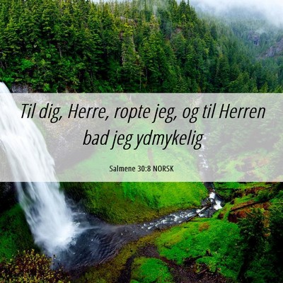 Picture 06 - Salmene 30:8 NORSK - Til dig, Herre, ropte jeg, og til Herren bad jeg - Bible Verse Picture