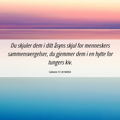 Picture 06 - Salmene 31:20 NORSK - Du skjuler dem i ditt åsyns skjul for menneskers - Bible Verse Picture