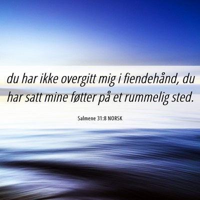 Picture 06 - Salmene 31:8 NORSK - du har ikke overgitt mig i fiendehånd, du har - Bible Verse Picture