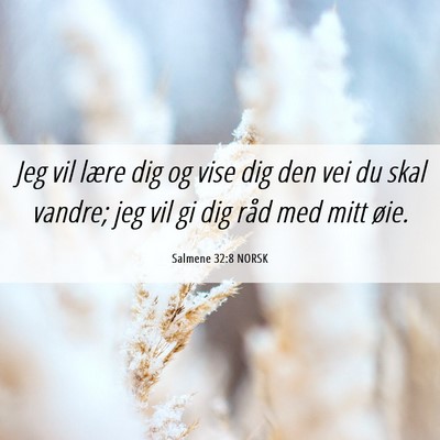 Picture 06 - Salmene 32:8 NORSK - Jeg vil lære dig og vise dig den vei du skal - Bible Verse Picture