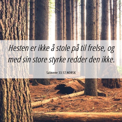 Picture 06 - Salmene 33:17 NORSK - Hesten er ikke å stole på til frelse, og med - Bible Verse Picture