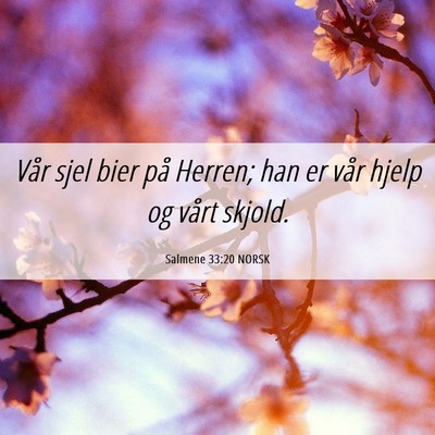 Picture 06 - Salmene 33:20 NORSK - Vår sjel bier på Herren; han er vår hjelp og - Bible Verse Picture