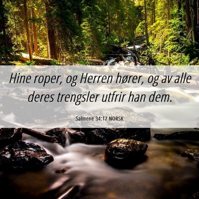 Picture 06 - Salmene 34:17 NORSK - Hine roper, og Herren hører, og av alle deres - Bible Verse Picture