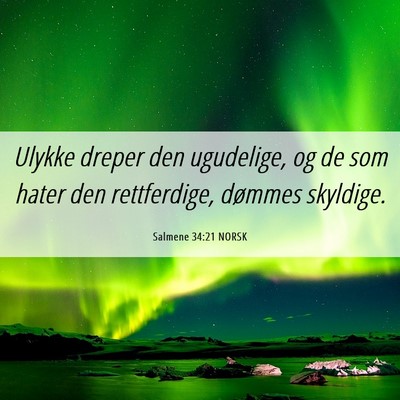 Picture 06 - Salmene 34:21 NORSK - Ulykke dreper den ugudelige, og de som hater den - Bible Verse Picture