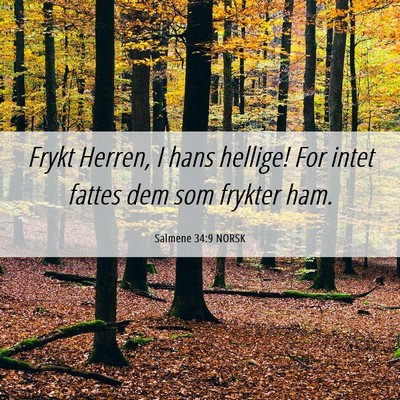 Picture 06 - Salmene 34:9 NORSK - Frykt Herren, I hans hellige! For intet fattes - Bible Verse Picture