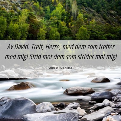 Picture 06 - Salmene 35:1 NORSK - Av David. Trett, Herre, med dem som tretter med - Bible Verse Picture