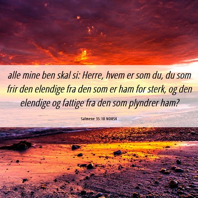 Picture 06 - Salmene 35:10 NORSK - alle mine ben skal si: Herre, hvem er som du, du - Bible Verse Picture