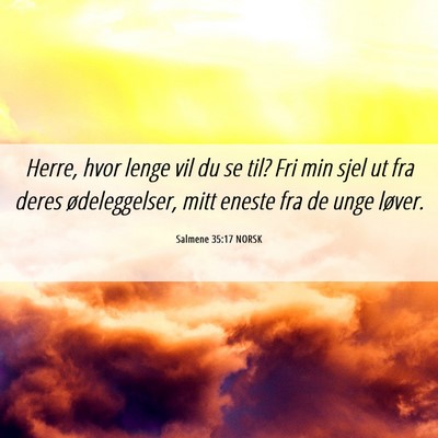 Picture 06 - Salmene 35:17 NORSK - Herre, hvor lenge vil du se til? Fri min sjel ut - Bible Verse Picture