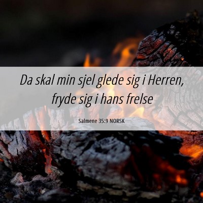 Picture 06 - Salmene 35:9 NORSK - Da skal min sjel glede sig i Herren, fryde sig i - Bible Verse Picture