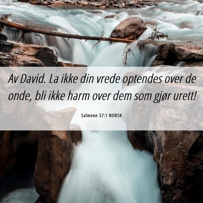 Picture 06 - Salmene 37:1 NORSK - Av David. La ikke din vrede optendes over de - Bible Verse Picture