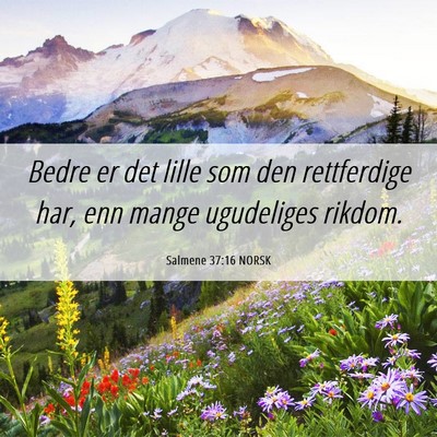 Picture 06 - Salmene 37:16 NORSK - Bedre er det lille som den rettferdige har, enn - Bible Verse Picture
