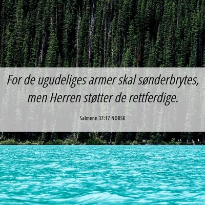 Picture 06 - Salmene 37:17 NORSK - For de ugudeliges armer skal sønderbrytes, men - Bible Verse Picture