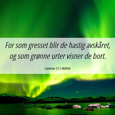 Picture 06 - Salmene 37:2 NORSK - For som gresset blir de hastig avskåret, og som - Bible Verse Picture