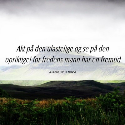 Picture 06 - Salmene 37:37 NORSK - Akt på den ulastelige og se på den opriktige! - Bible Verse Picture