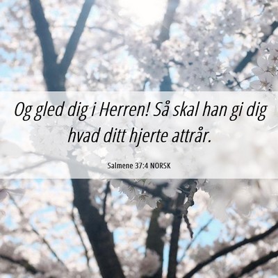 Picture 06 - Salmene 37:4 NORSK - Og gled dig i Herren! Så skal han gi dig hvad - Bible Verse Picture