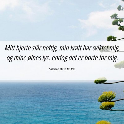Picture 06 - Salmene 38:10 NORSK - Mitt hjerte slår heftig, min kraft har sviktet - Bible Verse Picture