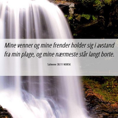 Picture 06 - Salmene 38:11 NORSK - Mine venner og mine frender holder sig i avstand - Bible Verse Picture