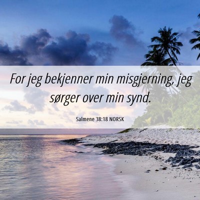 Picture 06 - Salmene 38:18 NORSK - For jeg bekjenner min misgjerning, jeg sørger - Bible Verse Picture