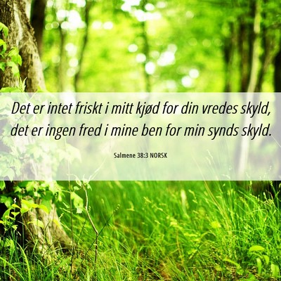 Picture 06 - Salmene 38:3 NORSK - Det er intet friskt i mitt kjød for din vredes - Bible Verse Picture