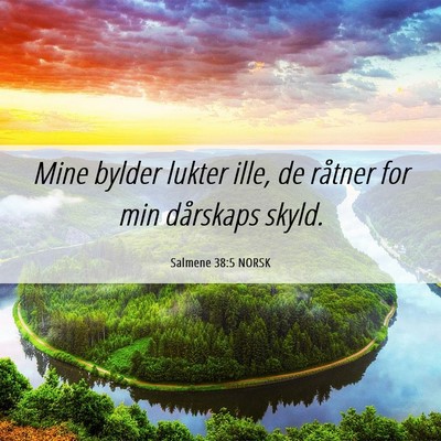 Picture 06 - Salmene 38:5 NORSK - Mine bylder lukter ille, de råtner for min - Bible Verse Picture